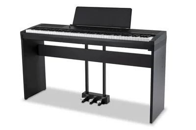 GEWA Portable Piano PP-3